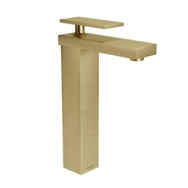 REGADERA PREMIER CON BRAZO Y CHAPETON PREMIER H3005-TR035-OB